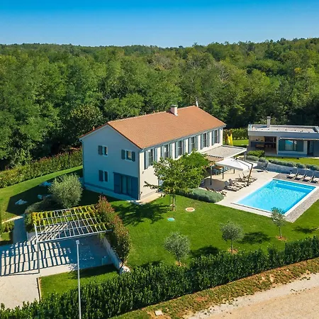 Villa Luxury Povetica With Pool In Vizinada *