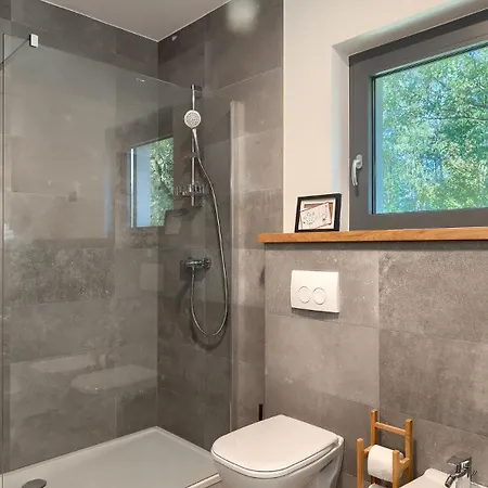 Luxury Povetica With Pool In Vizinada Villa *